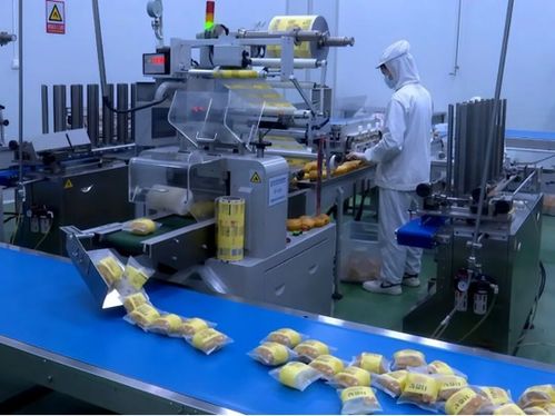 英吉沙食品企業沖刺新年開門紅 全力保障食品生產供應