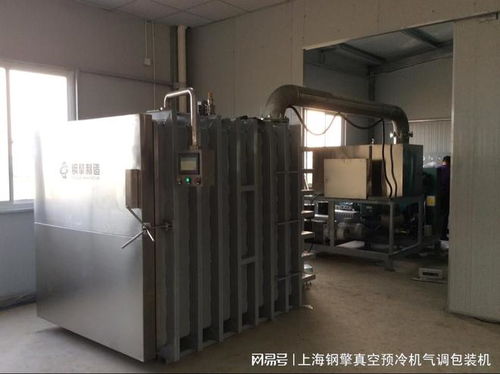 高效保鮮，品質為先——食品生產中主流真空預冷機品牌解析