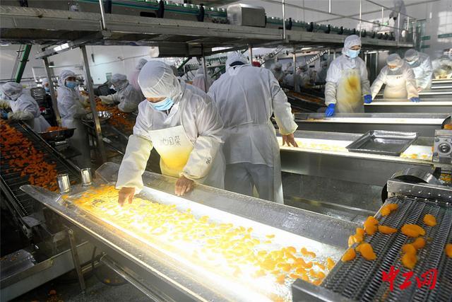 湖北宜昌 柑橘加工企業生產忙 推動食品產業升級