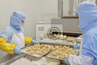 食品加工生產線 現代食品工業的核心引擎