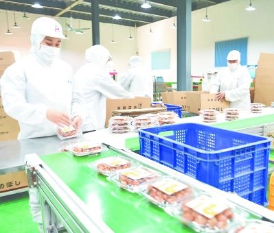 泉州洛江臺企全速復工復產 食品生產線馬力全開保供應
